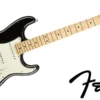 fender Player Stratocaster
