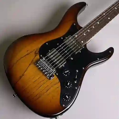 Freedom Custom Guitar Research EZa 24F