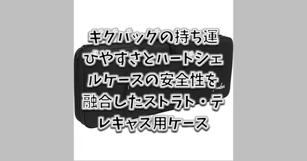 Fender Strat/Tele Foam Core Case