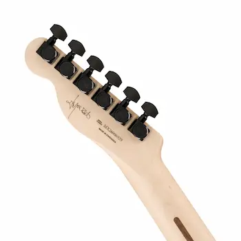 Fender Limited Edition Jim Root Telecaster, Shoreline Gold(ペグ)