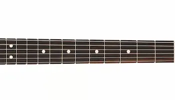 Fender Limited Edition Jim Root Telecaster, Shoreline Gold(指板)