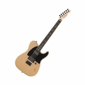 Fender Limited Edition Jim Root Telecaster, Shoreline Gold