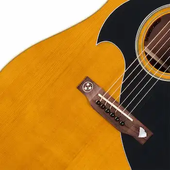 Epiphone Marcus King El Dorado(ブリッジ)