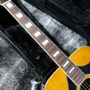 Epiphone Marcus King El Dorado(指板)
