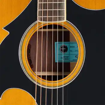 Epiphone Marcus King El Dorado(サウンドホール)