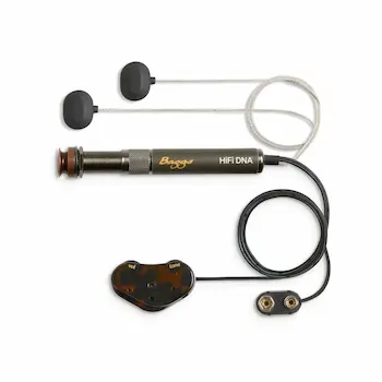 L.R.Baggs HiFi DNA