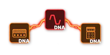 ZOOM NEURIG(DNA Engine)